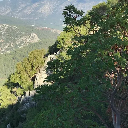 Appart hôtel Lena Boutique