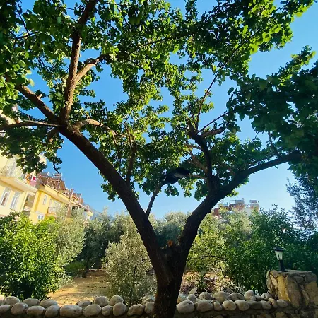 Lena Boutique Appart hôtel *