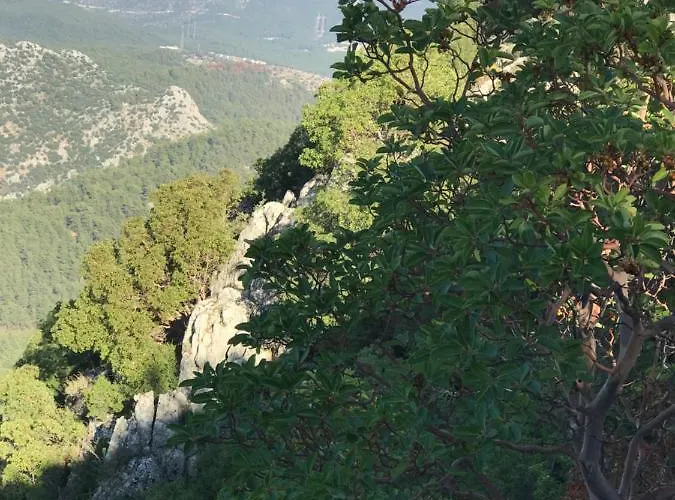 Ξενοδοχείο με διαμερίσματα Lena Boutique