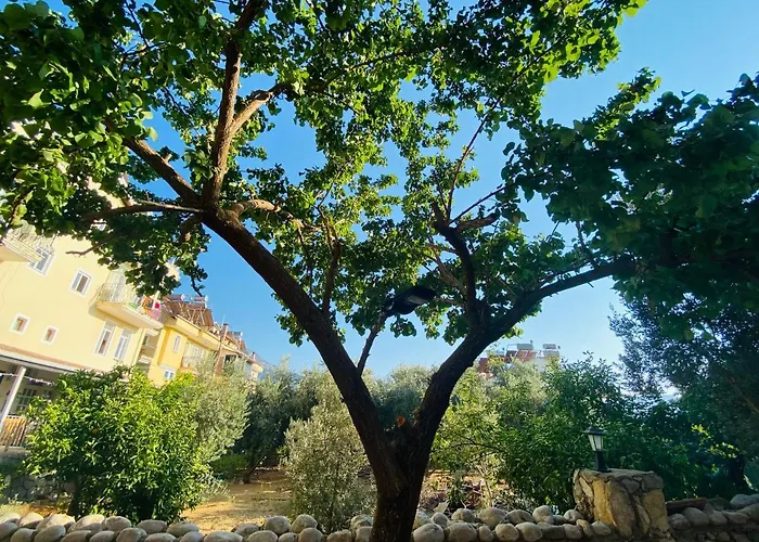 Lena Boutique Апарт-отель *